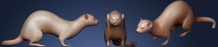 3D model Ferret (STL)